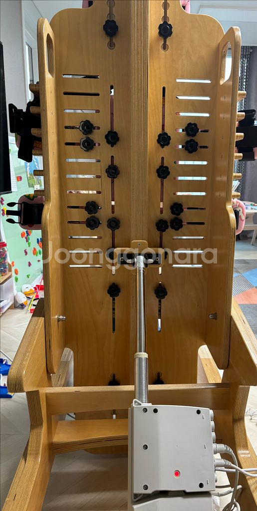 자동 후방 기립기 판매합니다--1