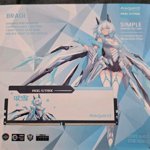 Asgard ROG STRIX DDR5 32gb