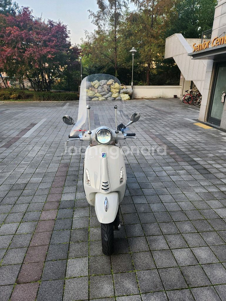 2024년식 베스파 프리마베라 화이트--0