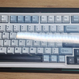 독거미 f99 (경해축) 풀구성 판매