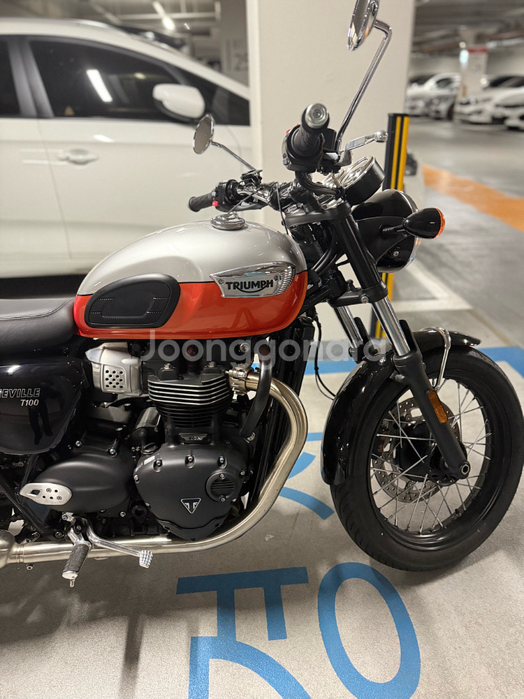 트라이엄프 본네빌 t100 신차급 판매 (2025년식)--2