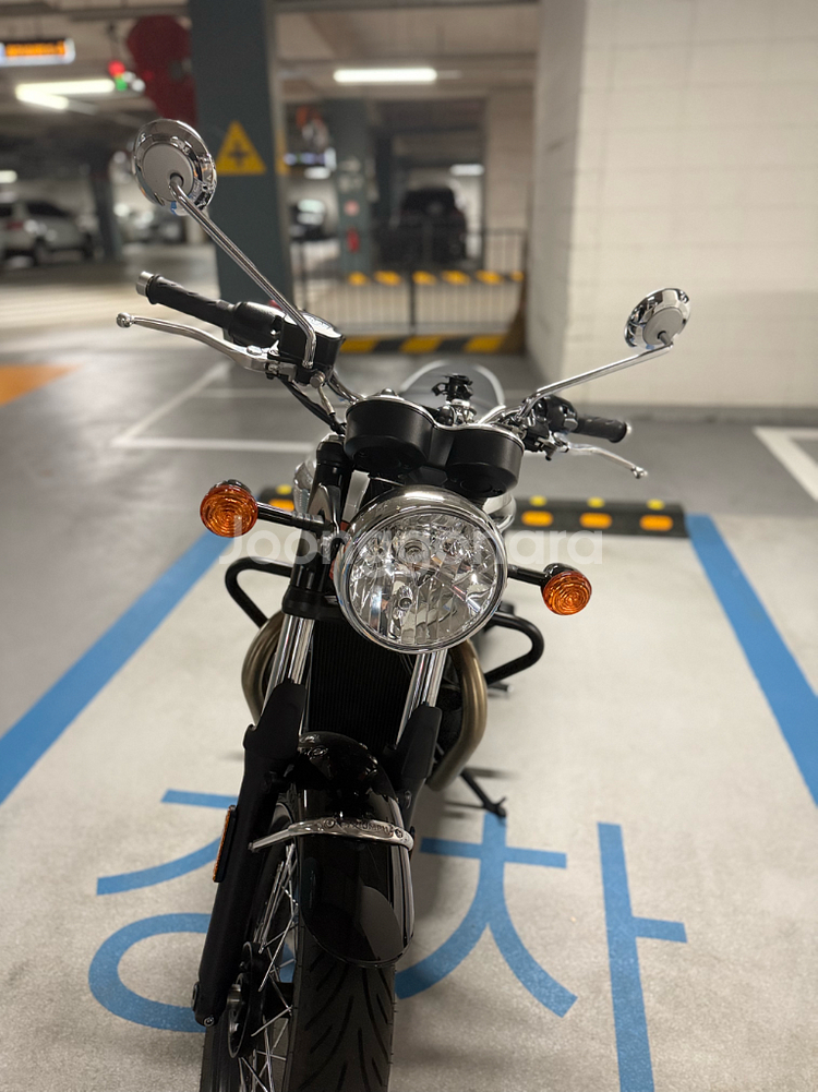 트라이엄프 본네빌 t100 신차급 판매 (2025년식)--3