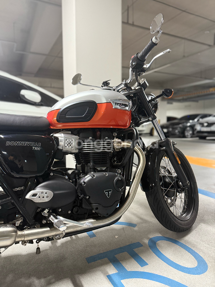 트라이엄프 본네빌 t100 신차급 판매 (2025년식)--1