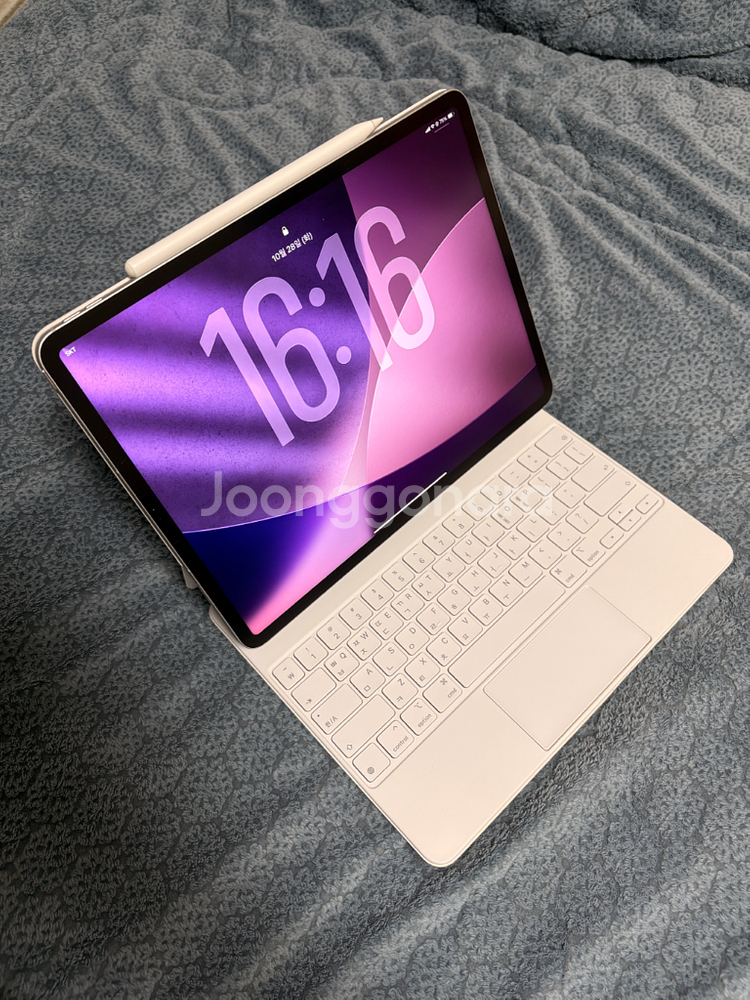 아이패드 프로 12.9 6세대 (M2) 256GB 셀룰러 실버 (풀셋트)--0