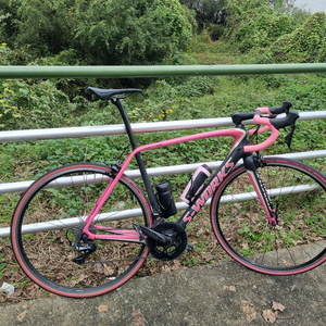 (급처)에스웍스 타막 sl5 듀라에이스 지로 한정판 에디션(일괄 판매)