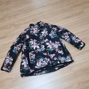 레니본 구스. 외 시스템