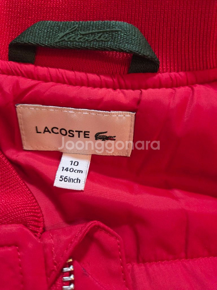 라코스테 봄버 140--1