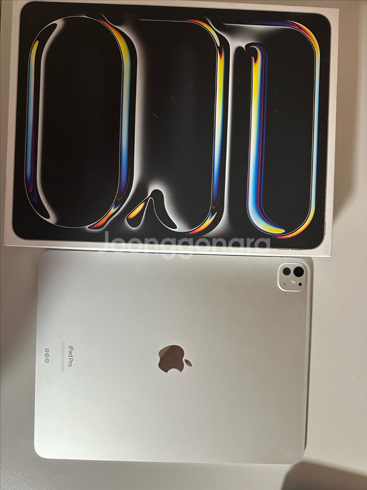 아이패드 프로 m4 13인치 512g--0