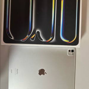 아이패드 프로 m4 13인치 512g