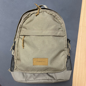 샘소나이트 레드 백팩