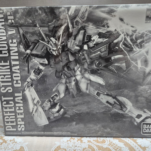 MG 퍼펙트 스트라이크 건담 스페셜 코팅