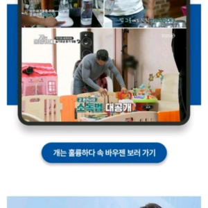 바우젠 전해수기 VSP-A70 소독 살균 탈취(반려동물,강아지,고양이)