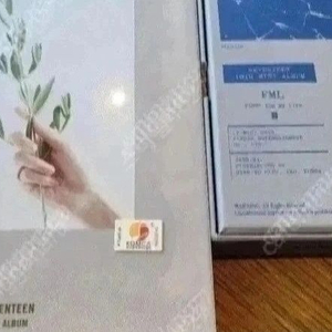 세븐틴 2집+미니 10집, 보아 1집 싱글+4집