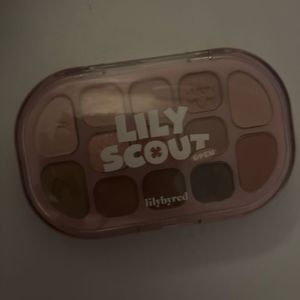 릴리바이레드 04로즈코코아 아이섀도우 팔레트