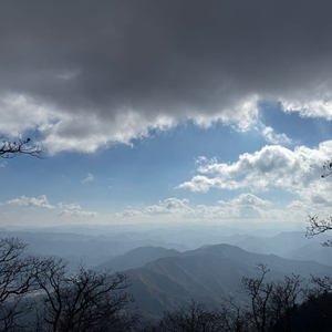 5090 fe 리더스 새상품 판매