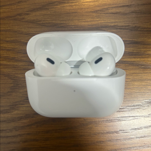 애플 에어팟 프로 2세대