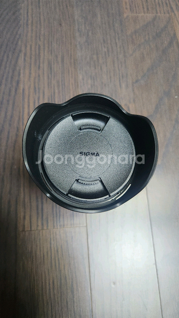 소니 미러리스 a5100, 여친렌즈, 시그마 렌즈--5