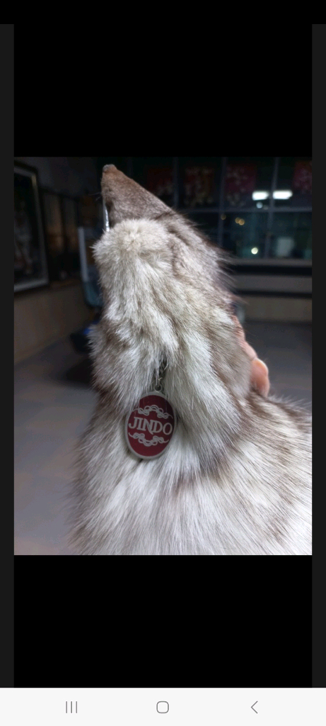 [또 가격내림] 천연 여우목도리 판매. 이미지