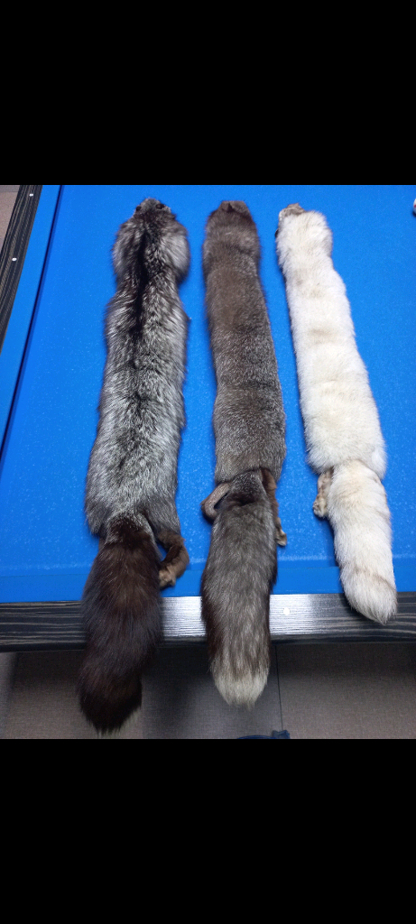 [또 가격내림] 천연 여우목도리 판매. 이미지