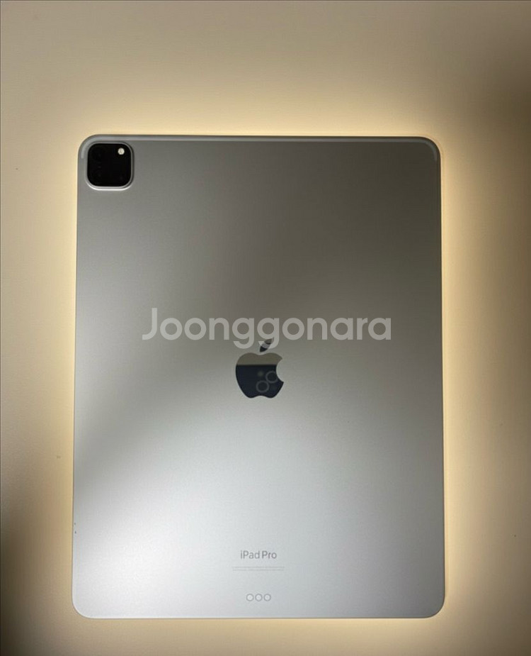 아이패드 프로 12.9 6세대 + 애플펜슬2세대--0