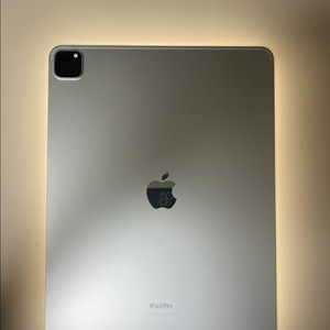 아이패드 프로 12.9 6세대 + 애플펜슬2세대