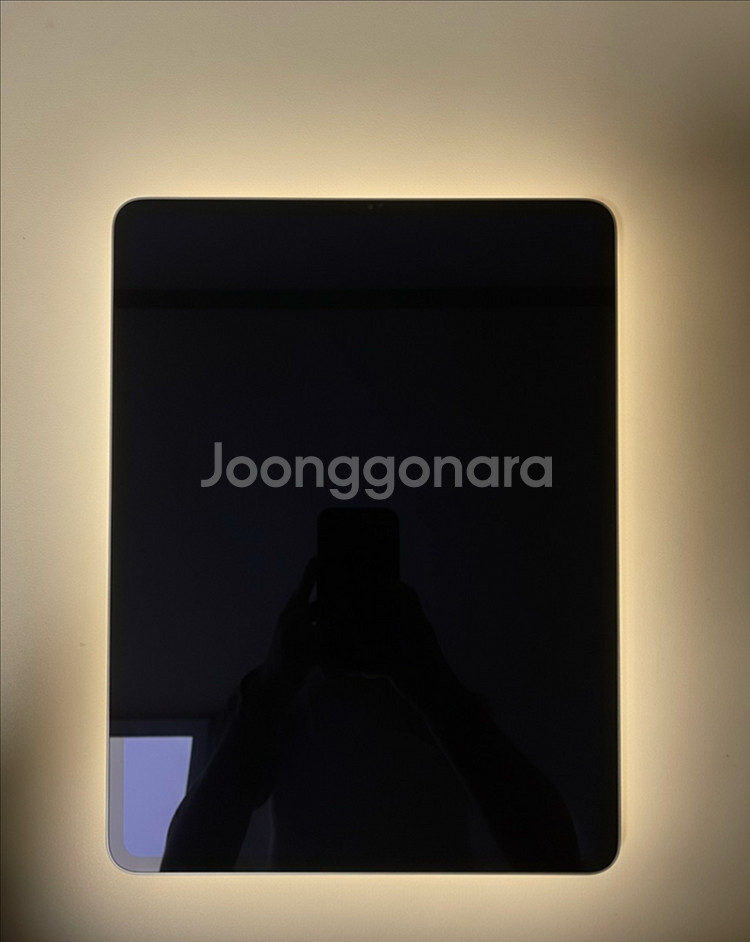 아이패드 프로 12.9 6세대 + 애플펜슬2세대--3