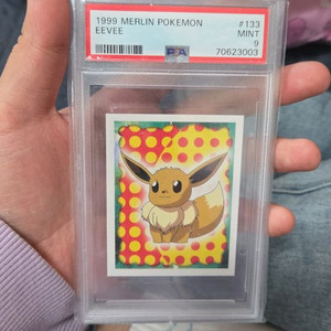 1999년 메를린 포켓몬 이브이 PSA9 팝니다