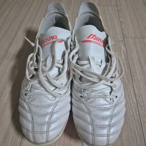 미즈노 모렐리아 네오 엘리트 ag 255mm