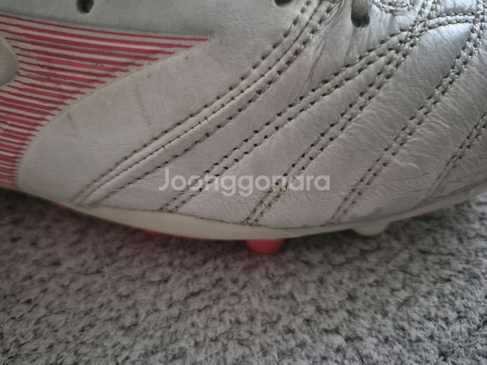 미즈노 모렐리아 네오 엘리트 ag 255mm--6