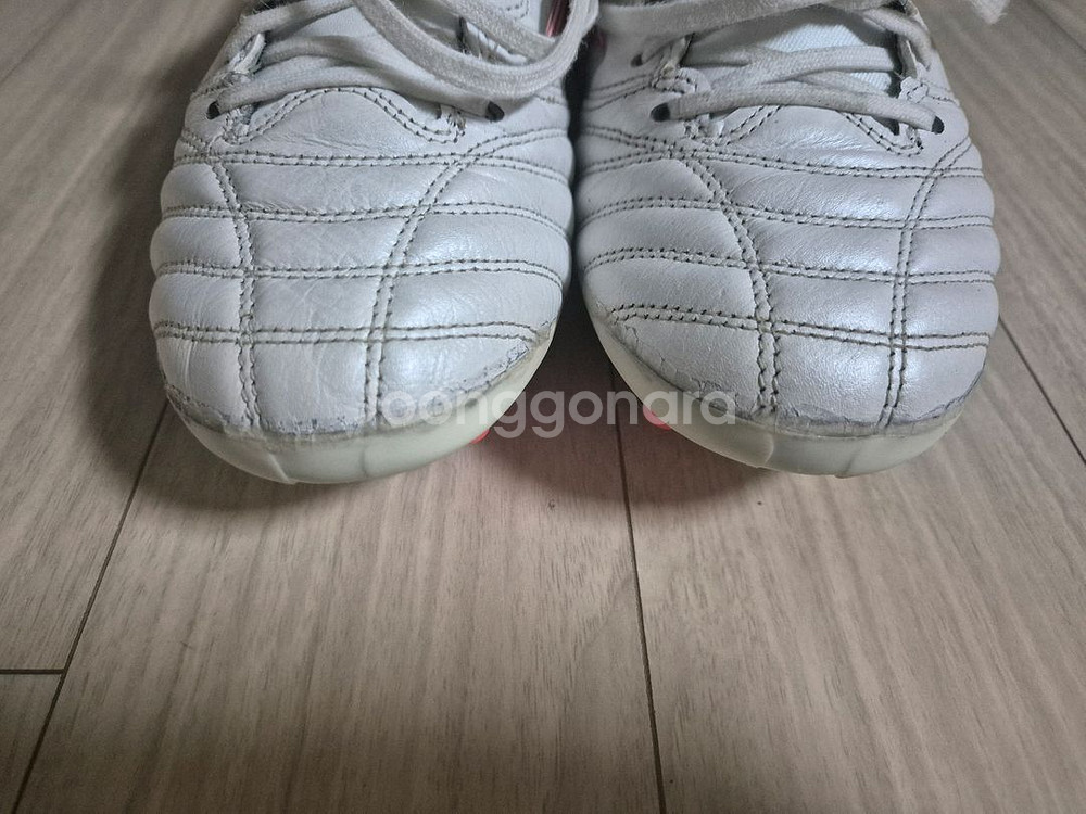 미즈노 모렐리아 네오 엘리트 ag 255mm--3