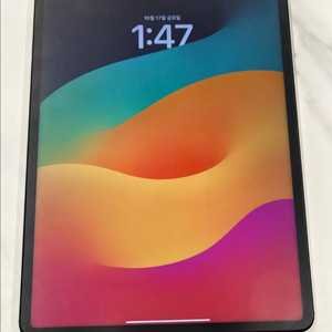 아이패드 프로 12.9 5세대 (셀룰러) + 애플 매직키보드 12.9