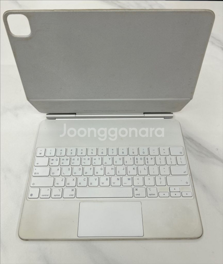 아이패드 프로 12.9 5세대 (셀룰러) + 애플 매직키보드 12.9--3