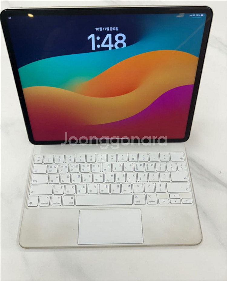 아이패드 프로 12.9 5세대 (셀룰러) + 애플 매직키보드 12.9--1
