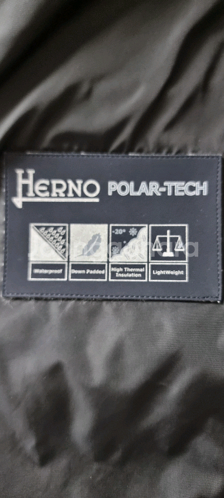 에르노 롱패딩--3