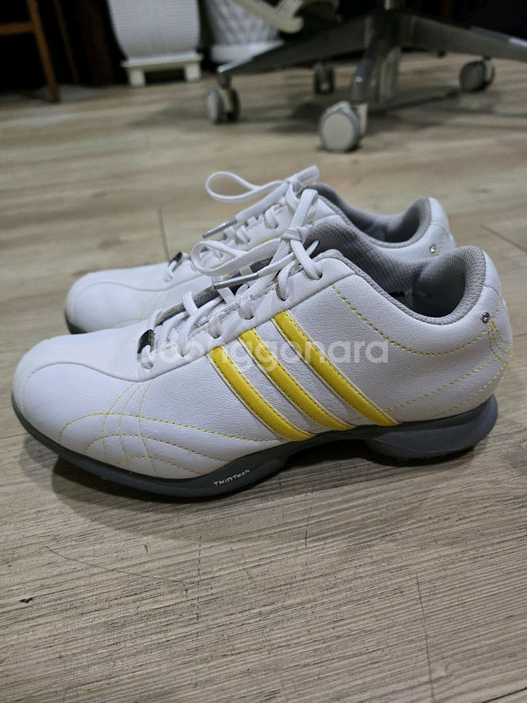 아디다스 골프 여성가죽 골프화 225mm--0