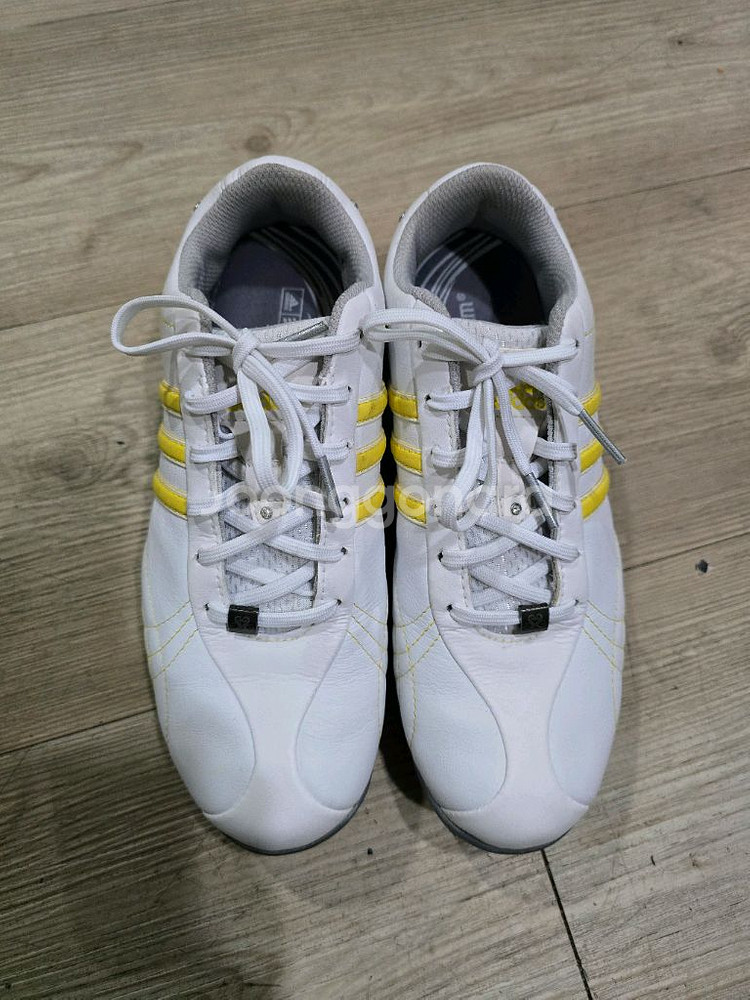 아디다스 골프 여성가죽 골프화 225mm--1