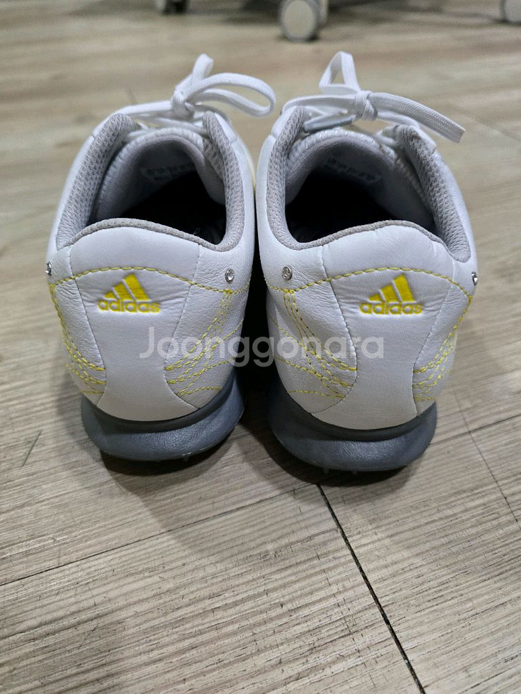 아디다스 골프 여성가죽 골프화 225mm--3