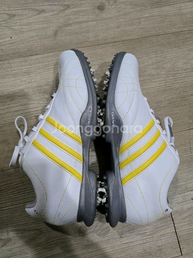 아디다스 골프 여성가죽 골프화 225mm--4