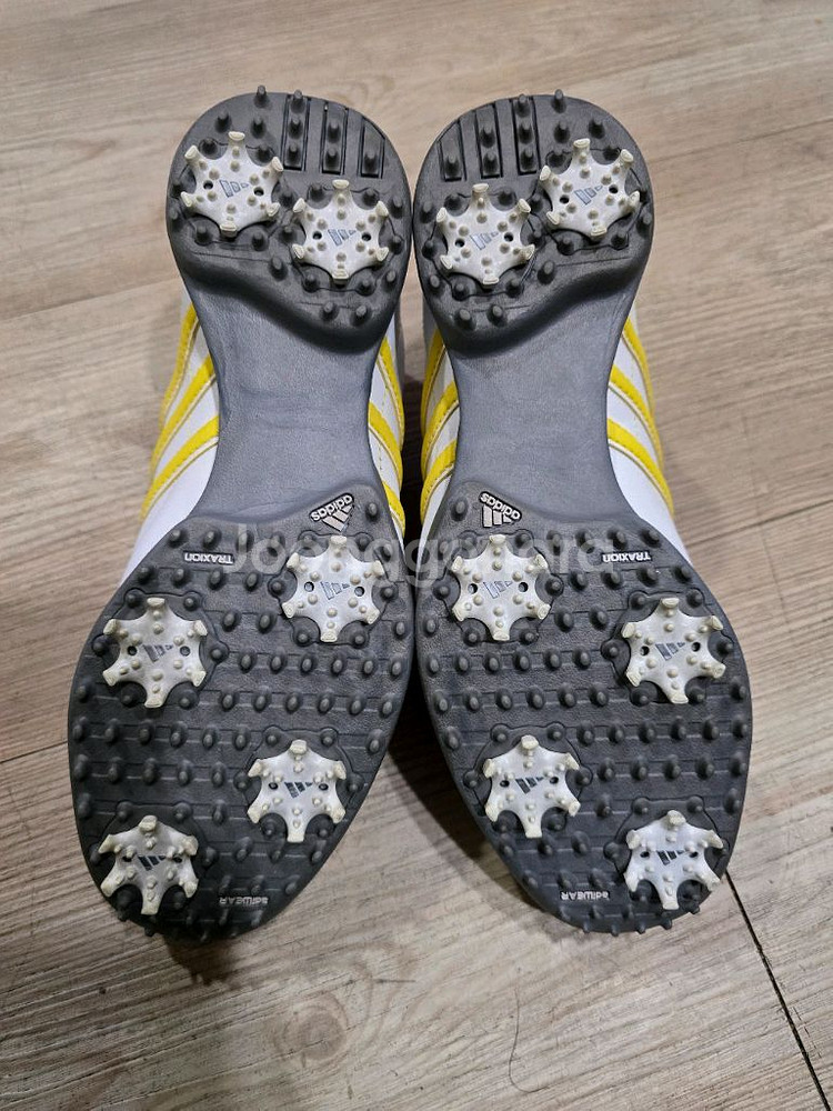 아디다스 골프 여성가죽 골프화 225mm--5