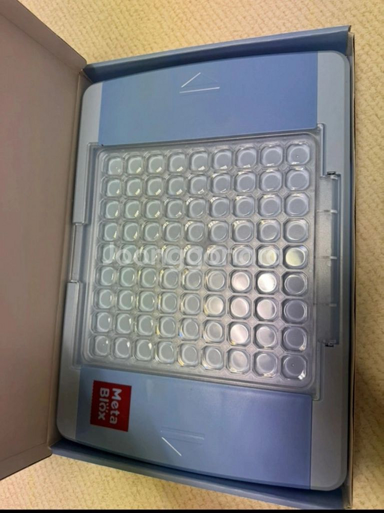 얼티빗 스토쿠 키즈--1