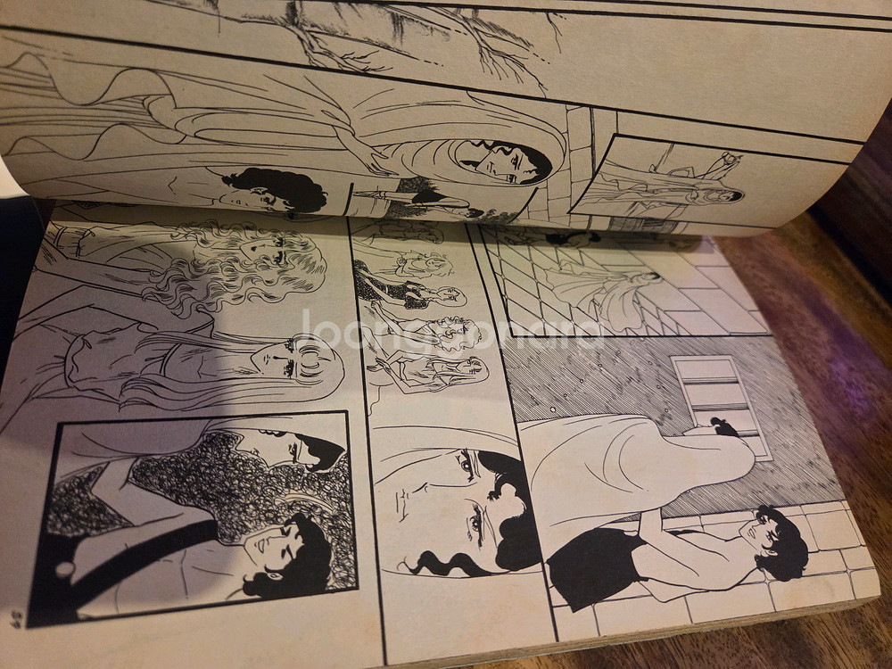 황미나 아뉴스데이1-6 전권세트--5