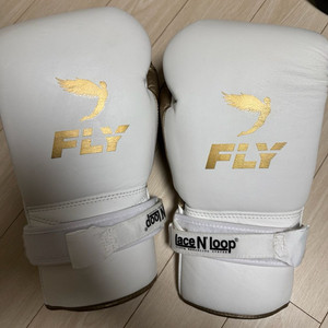 플라이 프리미엄 글러브 16oz