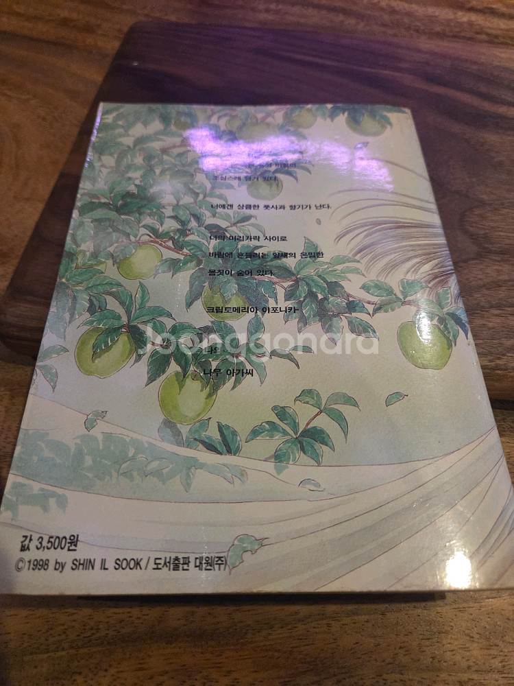 신일숙 정령을 믿으십니까?--1