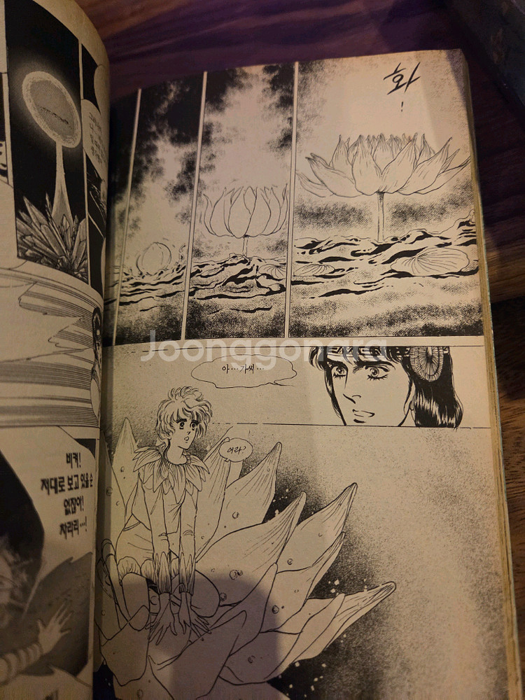 신일숙 정령을 믿으십니까?--2