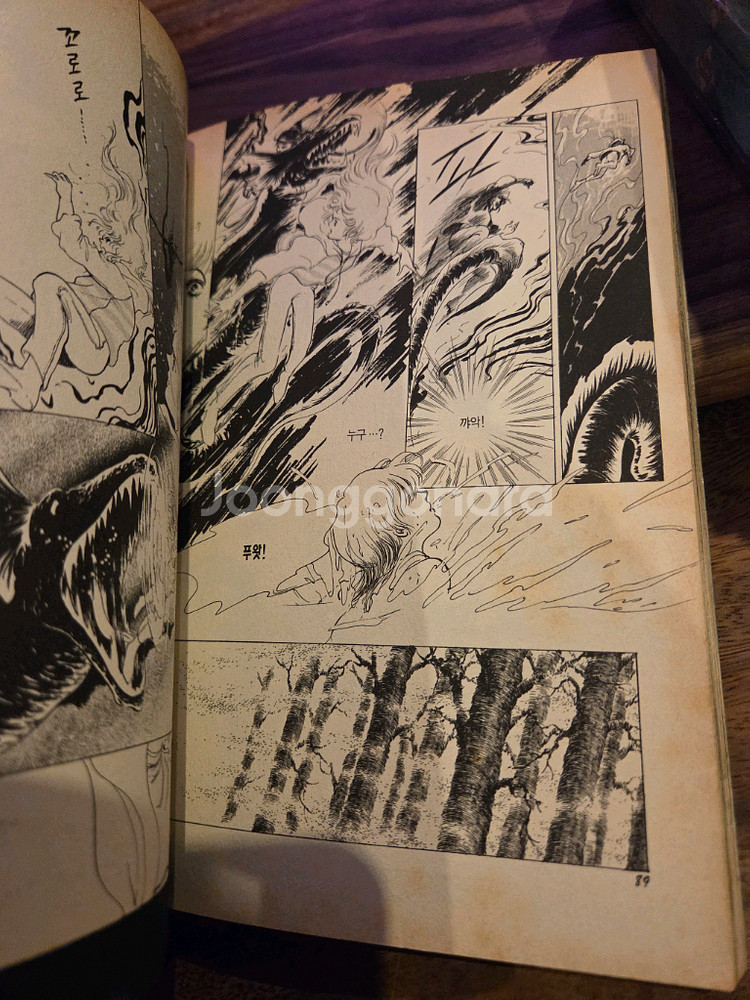 신일숙 정령을 믿으십니까?--3