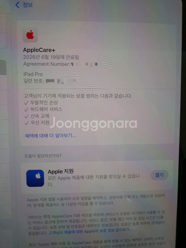 아이패드 프로 M4 11인치 1TB 셀룰러+와이파이 나노텍스쳐 글래스--2