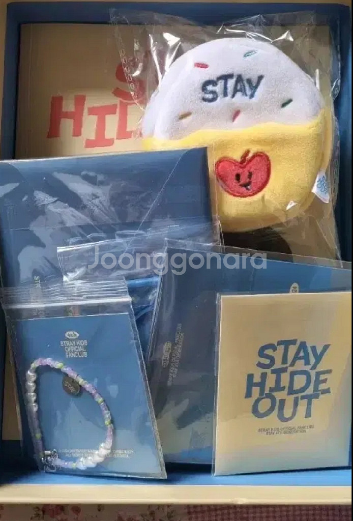 스트레이키즈 팬키트 4기 5기 현진 디아이콘 일괄--2