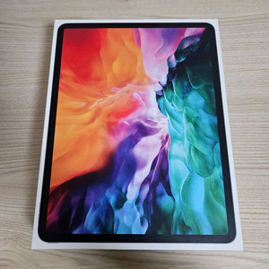 아이패드 프로 4세대 12.9 셀룰러 128GB