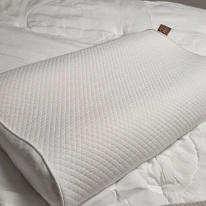 아이유 슬립앤슬립 푸딩 오가닉 메모리폼 경추베개 2호