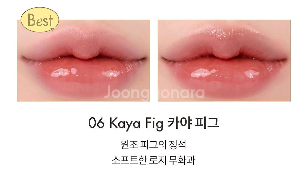 쿨톤 화장품 / 하이라이터--3